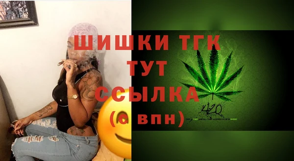 apvp Горняк