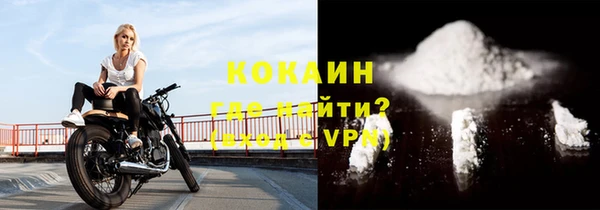 apvp Горняк