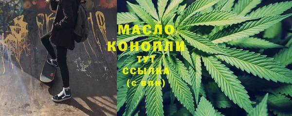 apvp Горняк