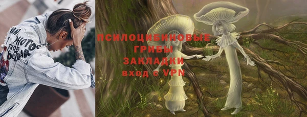 PSILOCYBIN Тында