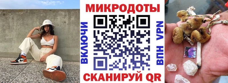 закладки  Окуловка  Галлюциногенные грибы прущие грибы 